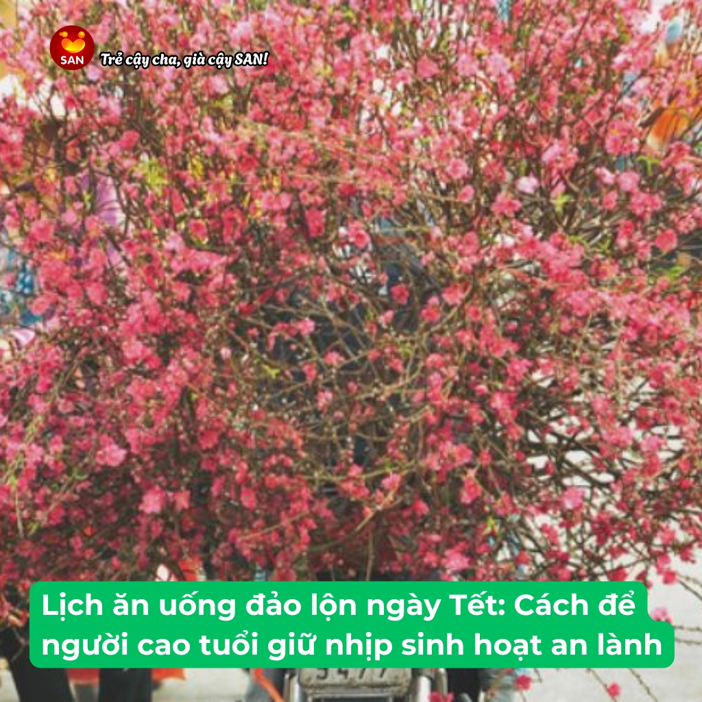 nhịp sinh hoạt người cao tuổi