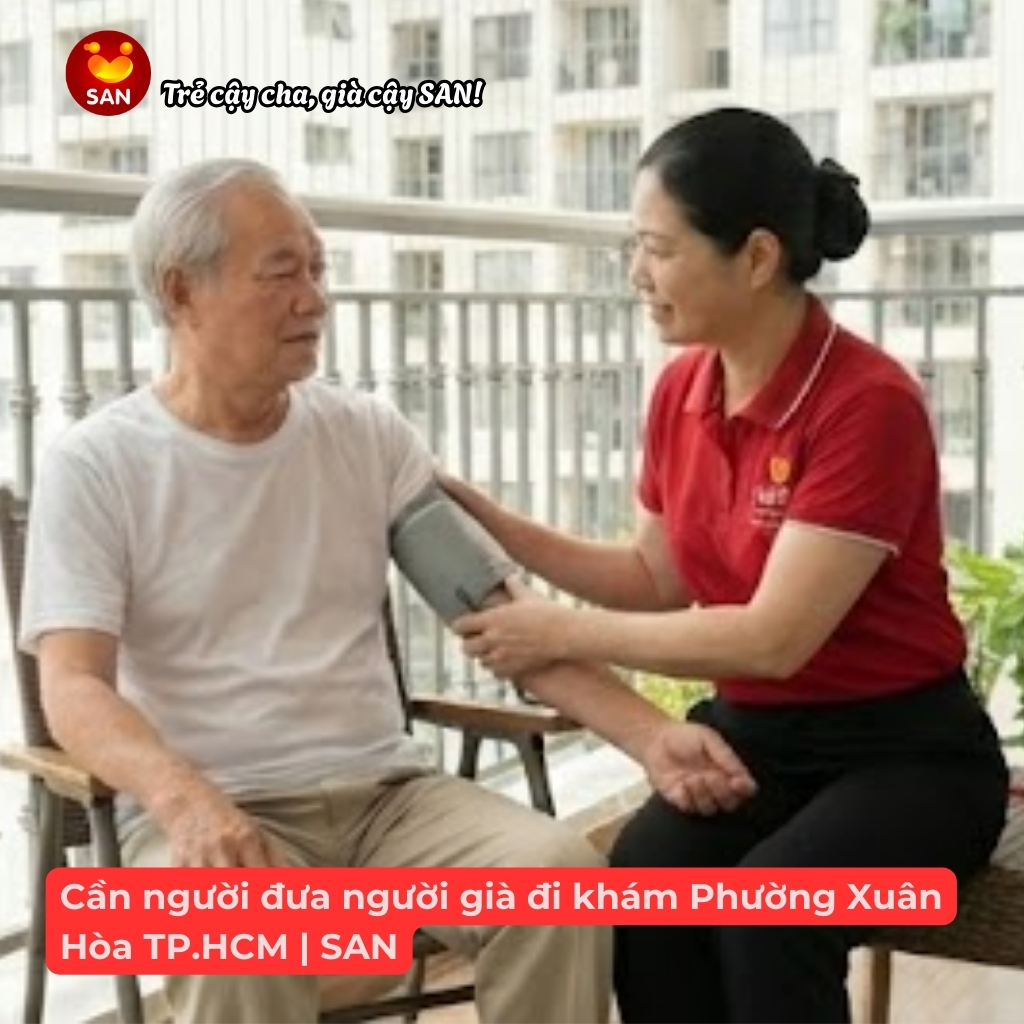 Senior citizen travel service