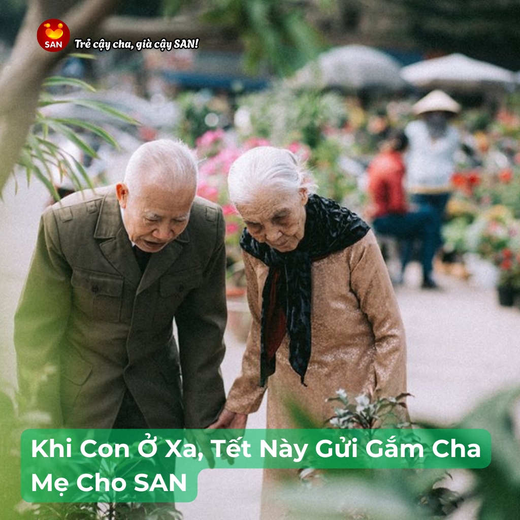 Dịch vụ Chăm sóc người già