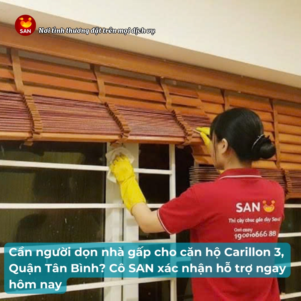Dọn nhà gấp Carillon 3