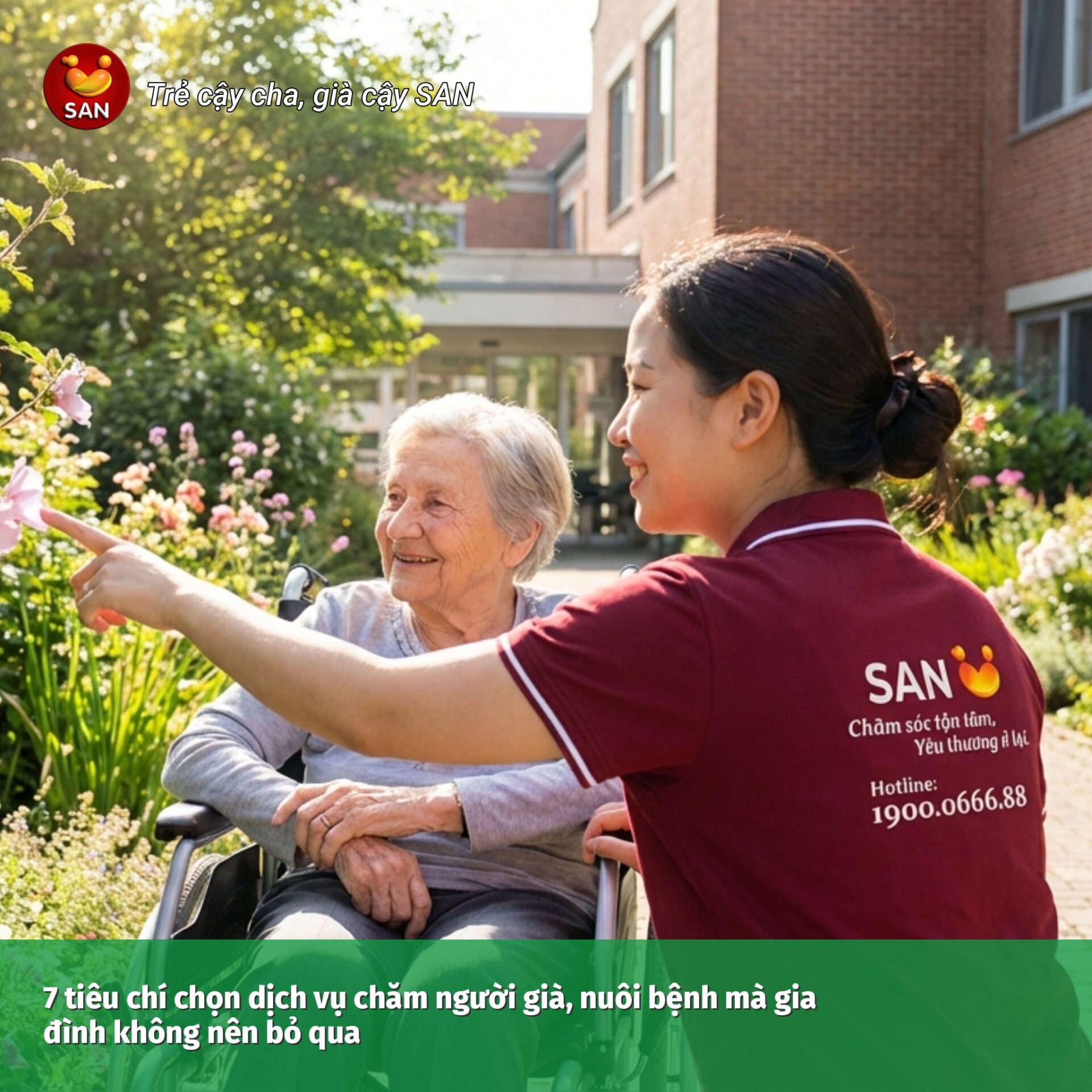 Criteria for choosing elderly care services