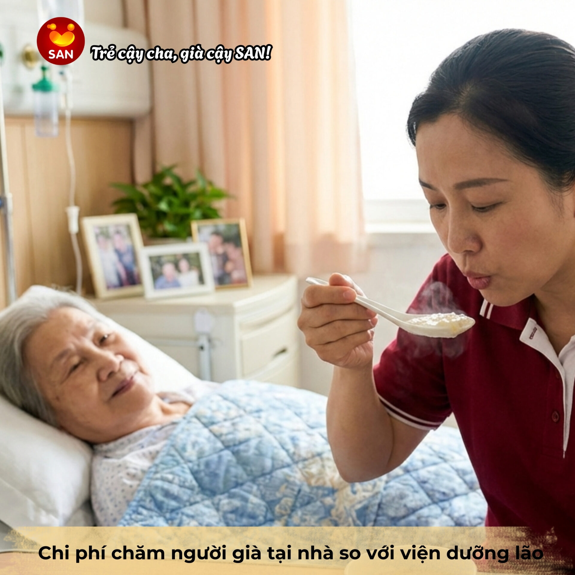 cost of caring for the elderly at home