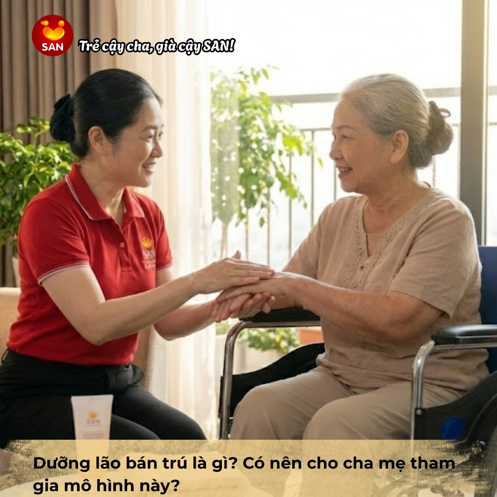 dưỡng lão bán trú