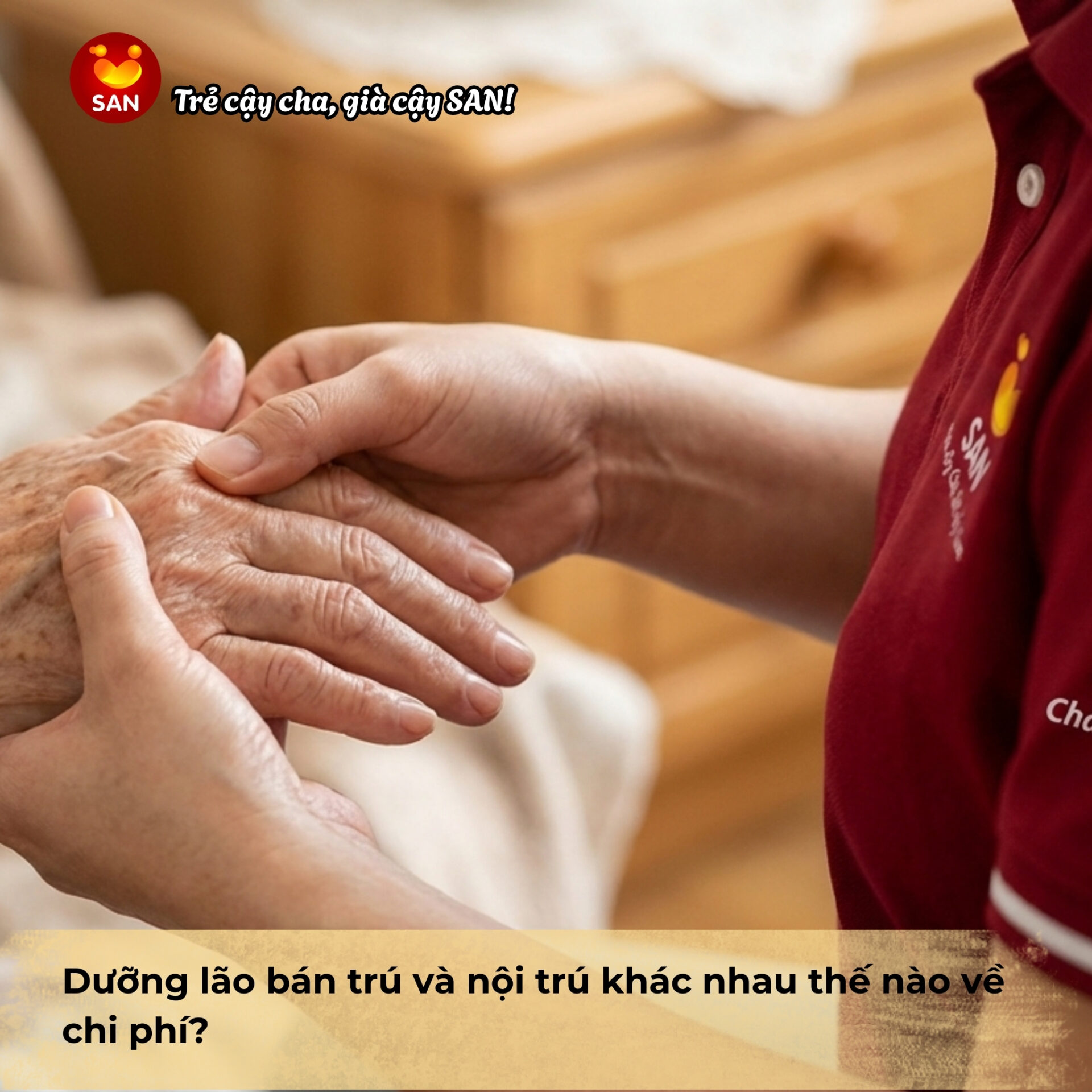 dưỡng lão bán trú và nội trú