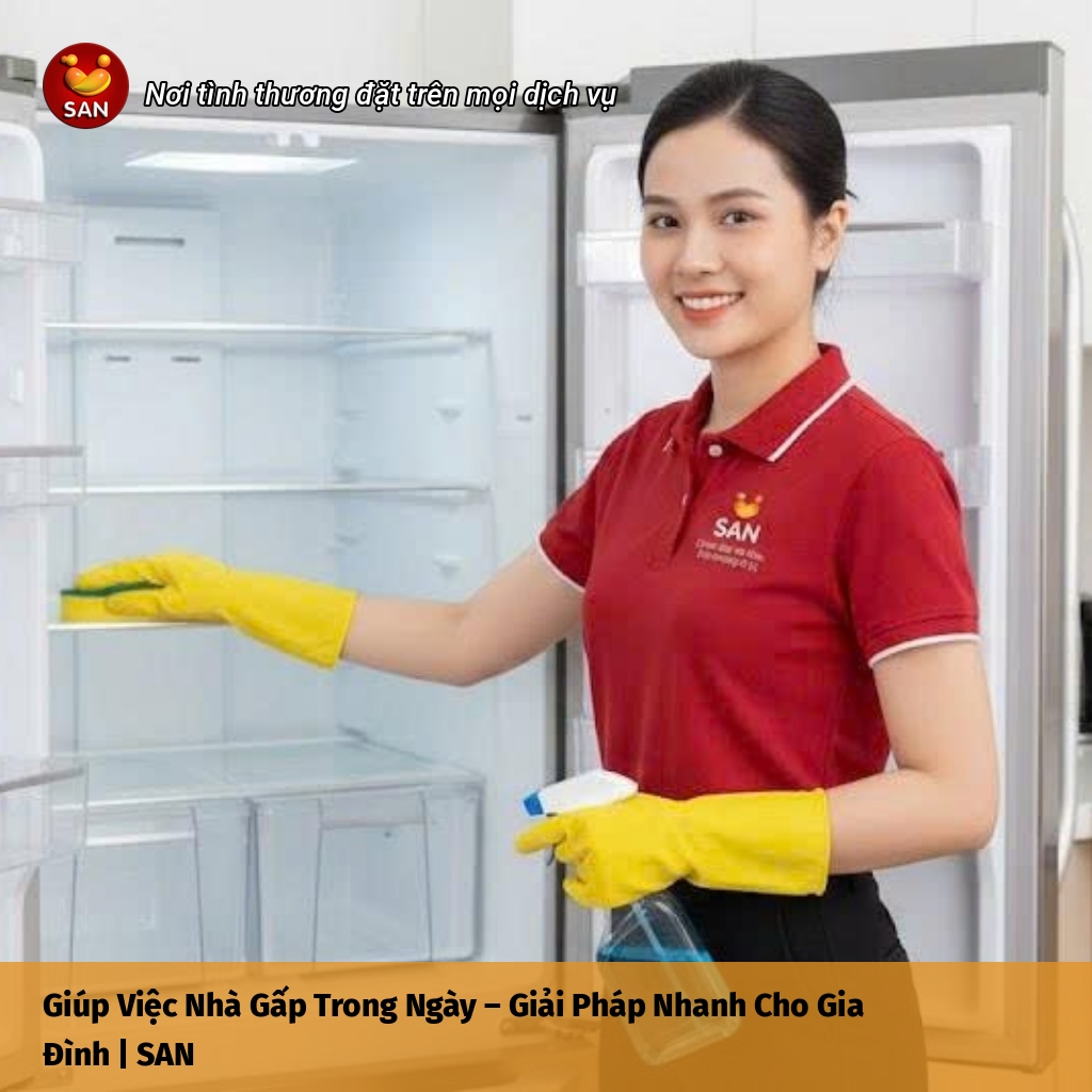 Urgent house cleaning service within the day
