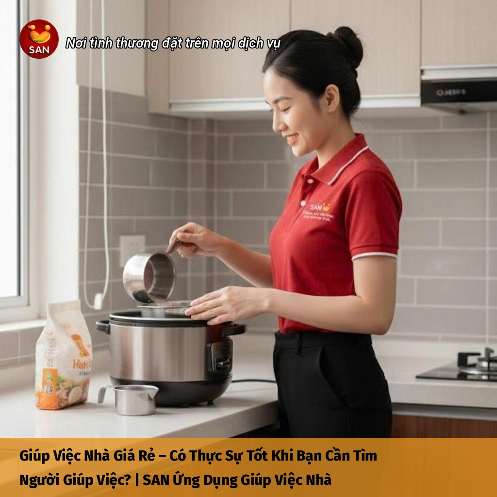 giúp việc nhà giá rẻ