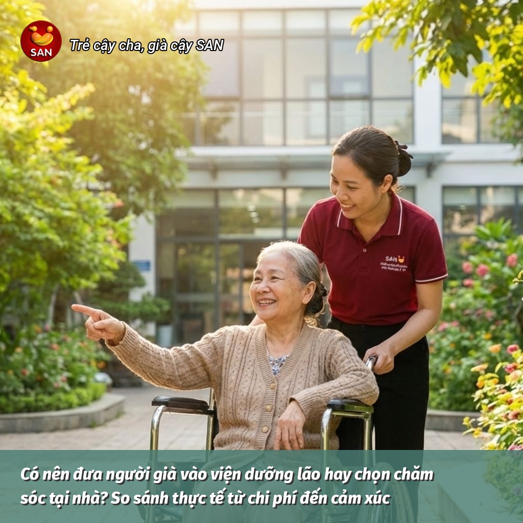 nursing home or home care