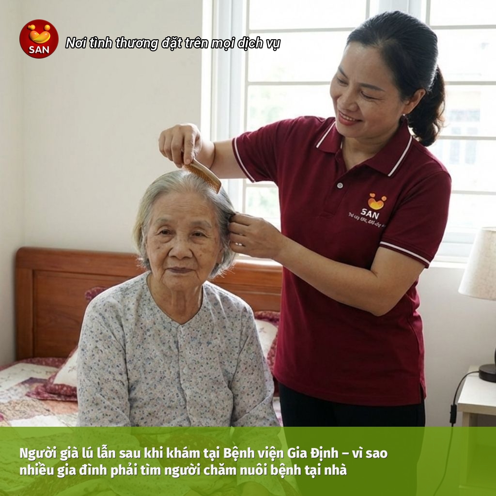 Người già lú lẫn chăm nuôi bệnh tại nhà
