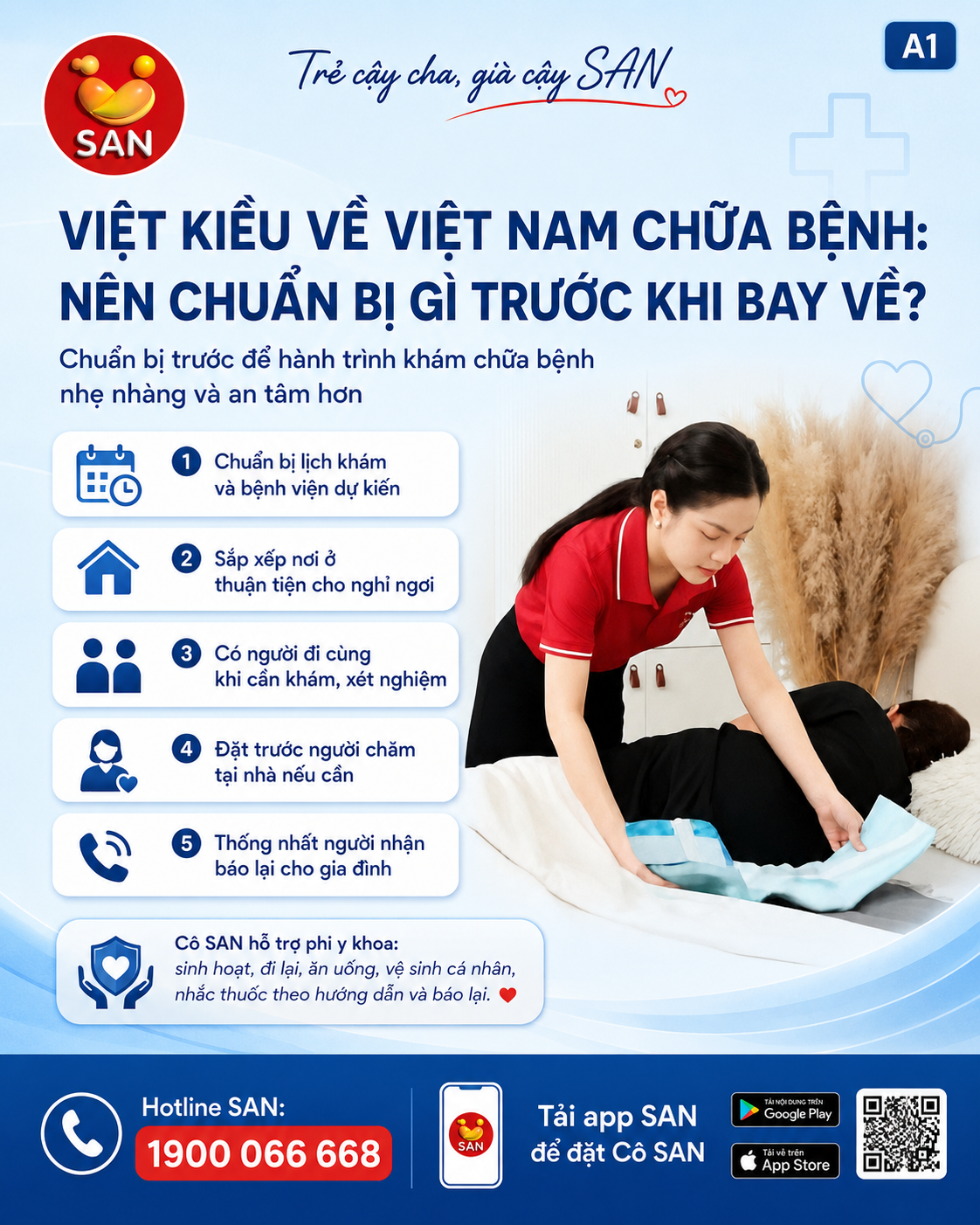 Việt kiều về Việt Nam chữa bệnh